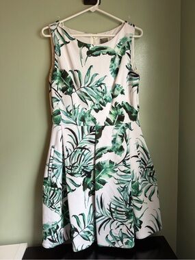 Taylor Women’s Dress